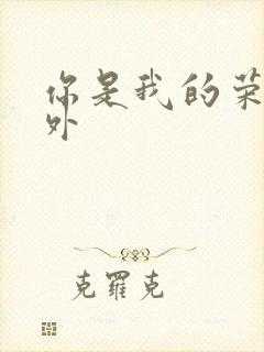 你是我的荣耀番外