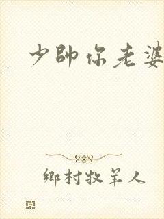 少帅你老婆
