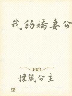 我的娇妻公务员