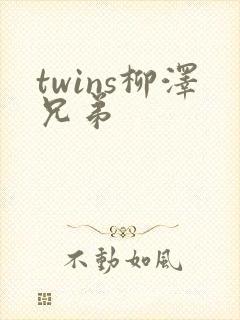 twins柳泽兄弟