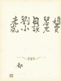 老刘日儿媳妇张岚小说免费阅读