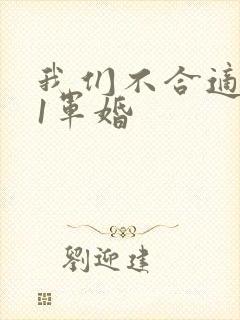 我们不合适1v1军婚