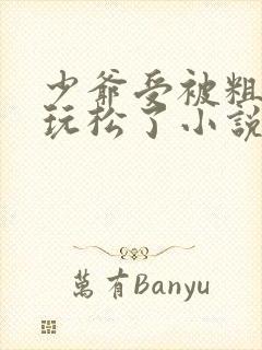 少爷受被粗汉H玩松了小说