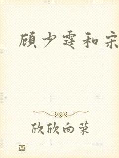 顾少霆和宋斯曼