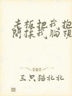 老板把我抱进房间揉我胸视频