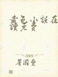 黄色小说在线阅读免费