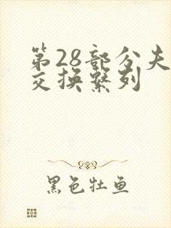 第28部分夫妇交换系列