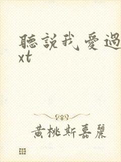 听说我爱过你txt