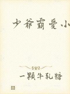 少爷霸爱小丫头