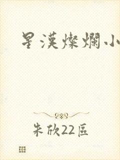 星汉灿烂小说