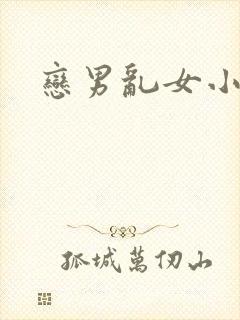 恋男乱女小说