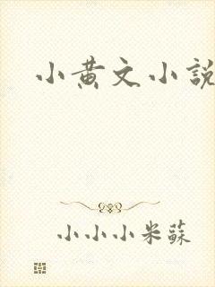小黄文小说