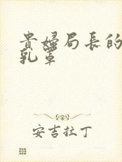 贵妇局长的蕾丝乳罩