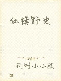 红楼野史