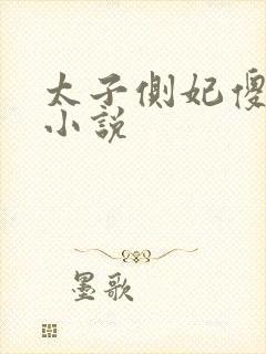 太子侧妃傻乎乎小说