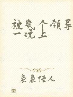 被几个领导玩弄一晚上