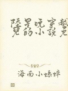 陆星晚穿越成婴儿的小说免费阅读全文