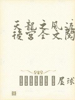 天龙之风流猎艳后宫全文阅读