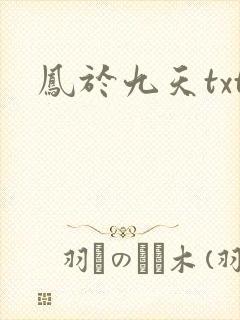 凤于九天txt