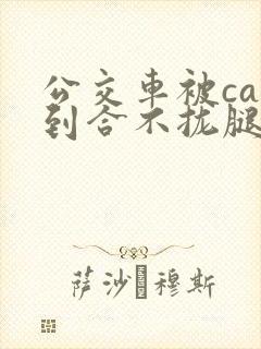 公交车被cao到合不拢腿视频