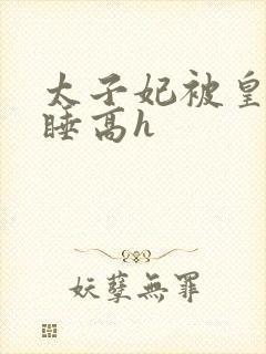 太子妃被皇上强睡高h