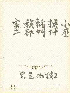 家族轮换小说第二部叫什么名字