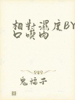 相对湿度BY大口吃肉