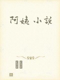 阿姨 小说
