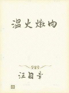 温火炖肉