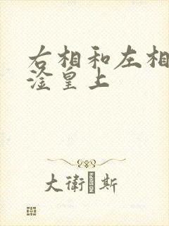 右相和左相一起淦皇上