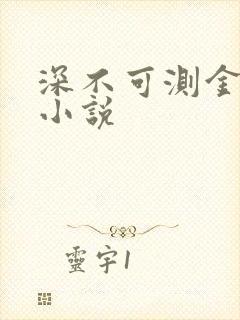 深不可测金银花小说