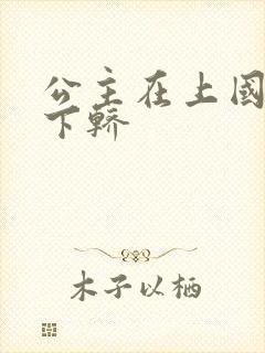 公主在上国师请下轿