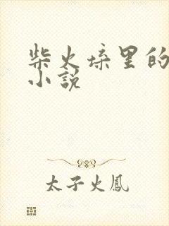 柴火垛里的疯狂小说