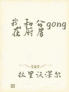 我和公gong在厨房