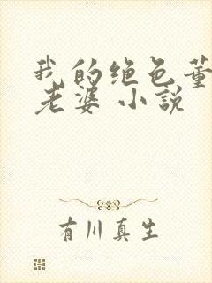 我的绝色董事长老婆 小说