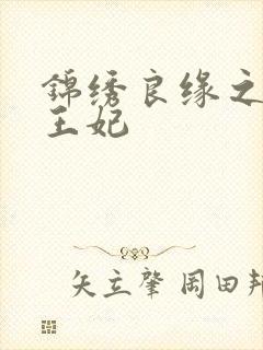 锦绣良缘之北地王妃