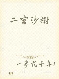 二宫沙树
