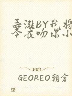 垂涎BY我将在今夜吻你小说免费阅读