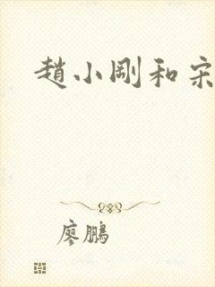 赵小刚和宋雨晴