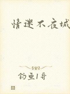 情迷不夜城