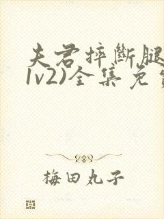 夫君摔断腿后(1v2)全集免费阅读