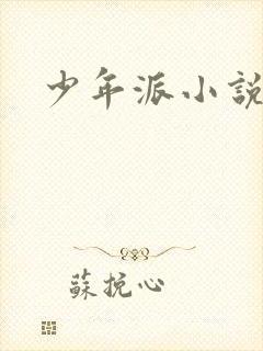 少年派小说