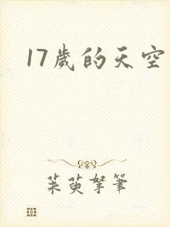 17岁的天空