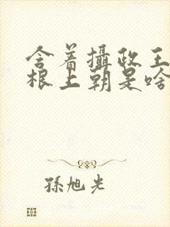 含着摄政王的紫根上朝是啥小说