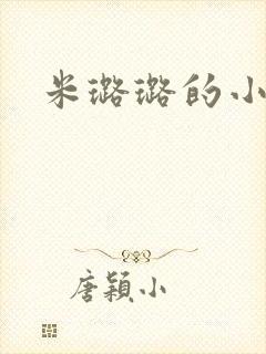 米璐璐的小说