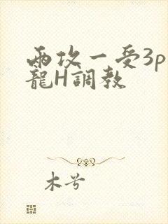 两攻一受3p双龙H调教