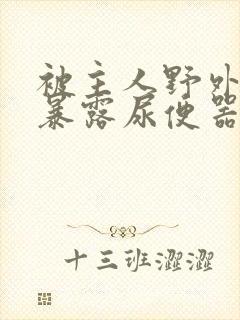 被主人野外调教暴露尿便器