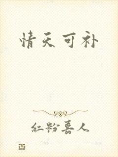 情天可补
