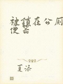 被锁在公厕当坐便器