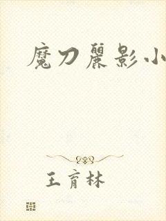 魔刀丽影小说